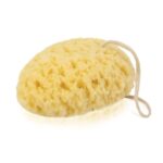 d0dcdb913ac32a6aaa9ca6f5a52b810a