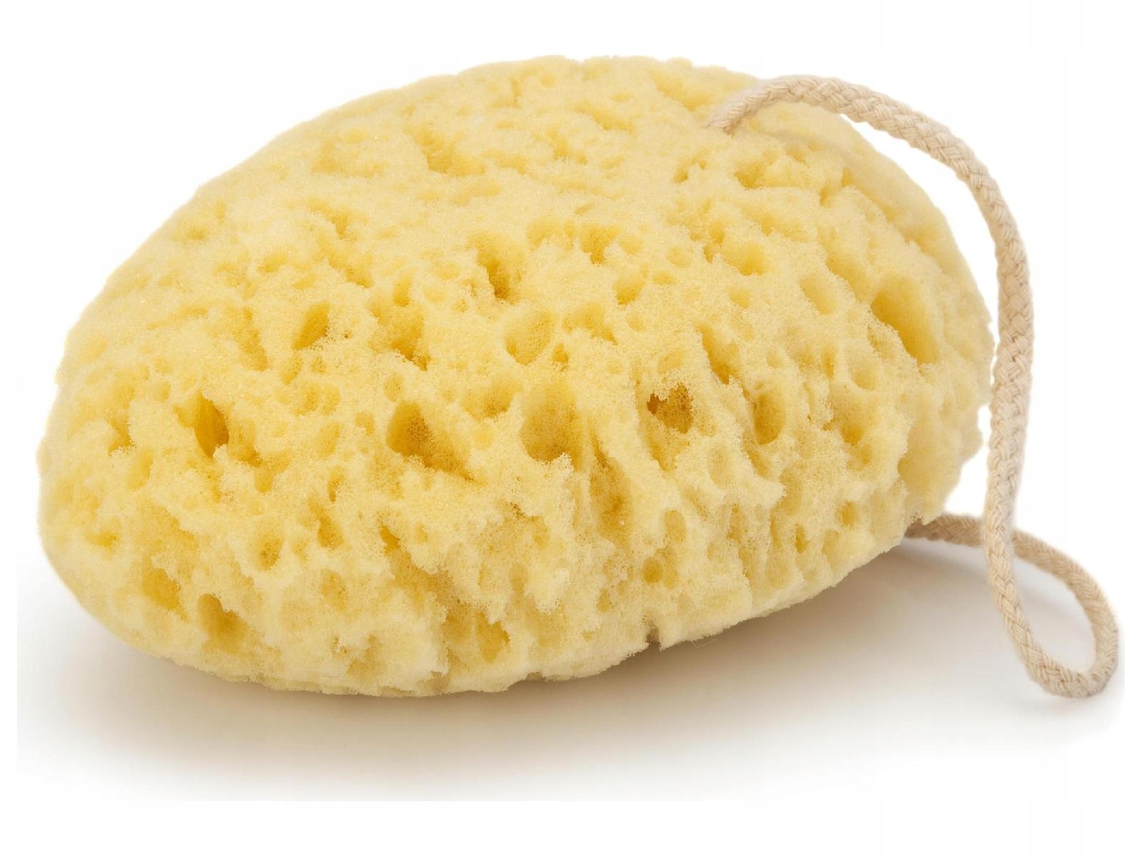 2f096b5e1a186e9ed2aa0a78fbca8f4c