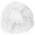 38acc74007c8589ea39fa9a9cceb3a0e