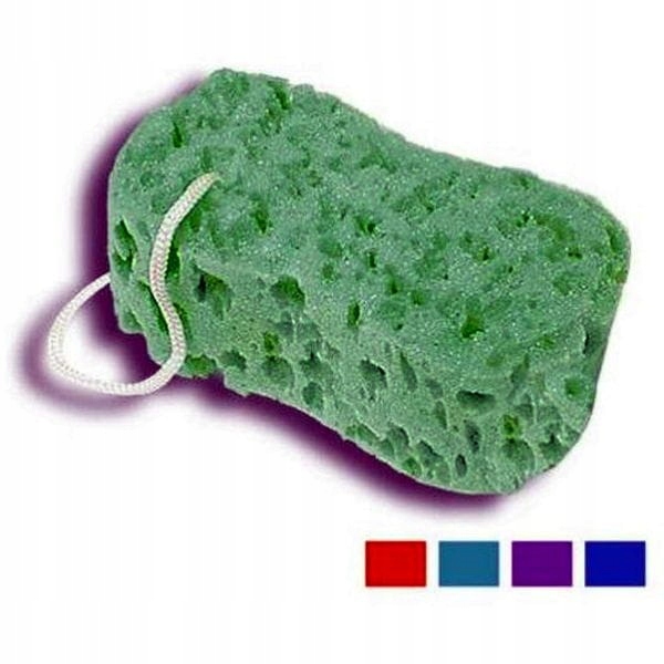 d101a2441b9b12002a16ff65596c9156