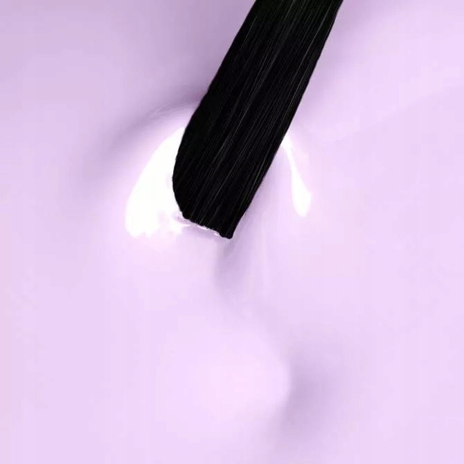 96382bf8b59604cc5fa8f86a8306b95a