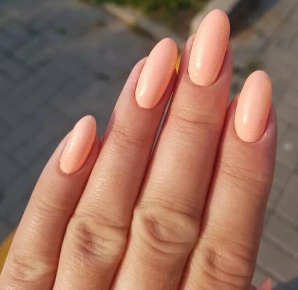 bf0c7b16cecec6337a5fd9092a0eae87