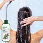 d1c731e1e274598d24a74e0690b5fccc