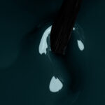 54192b7f7b5735ae639d73292be6c62a