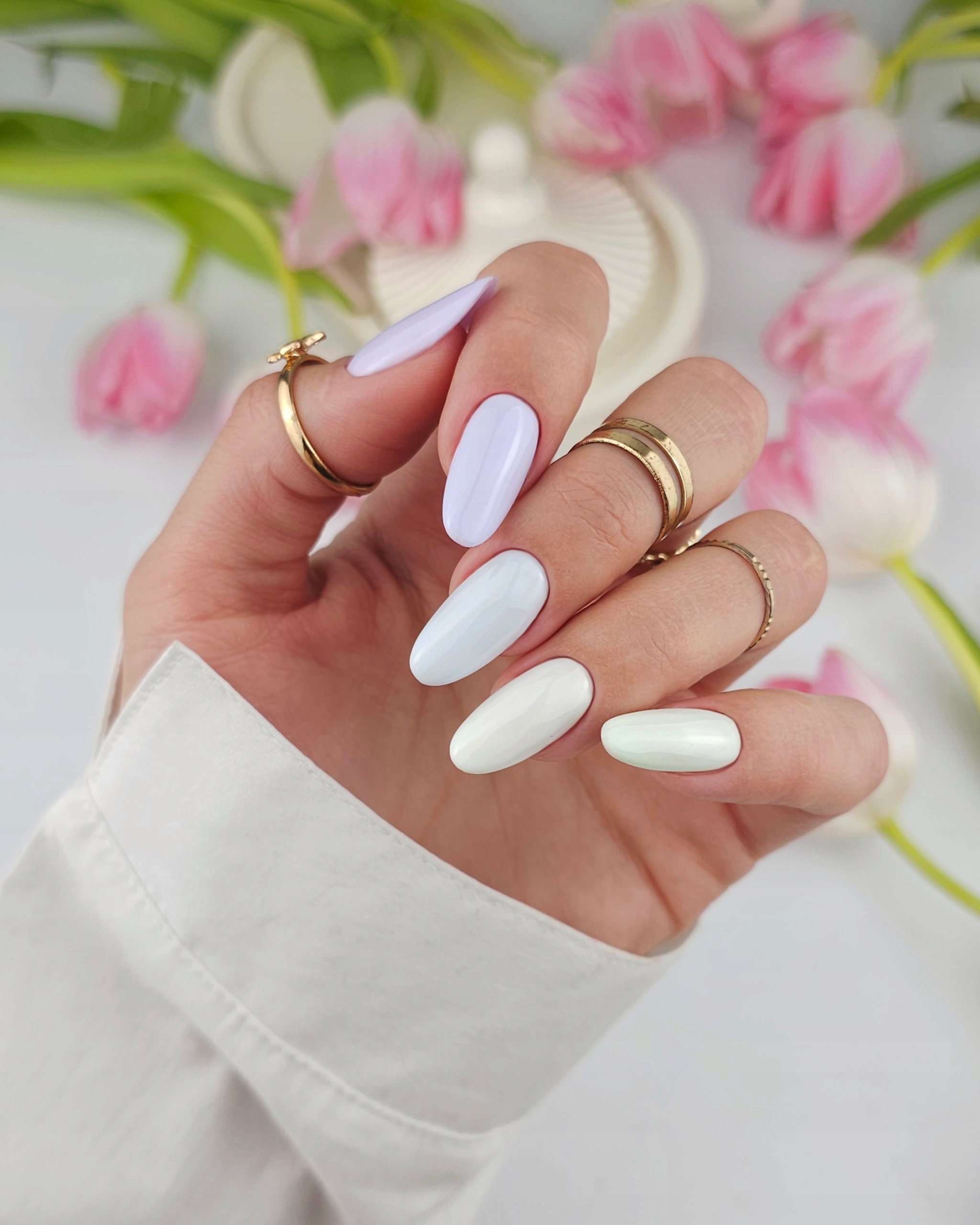 0ee892105e61d474a039b6c451a3702d